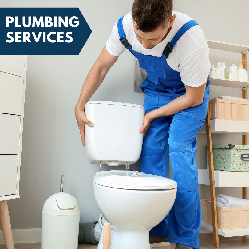 Plumbing Company in Sapelo Island, GA